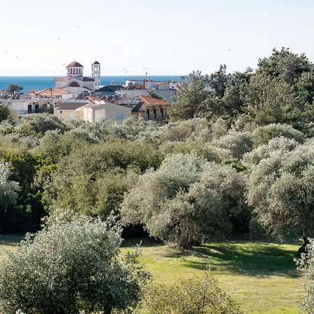Olive Valley Ποτός